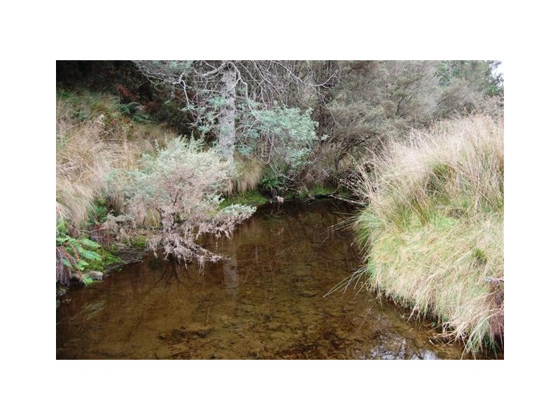 Williams Road, Jackeys Marsh TAS 7304