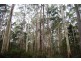 Williams Road, Jackeys Marsh TAS 7304