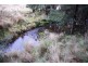 Williams Road, Jackeys Marsh TAS 7304