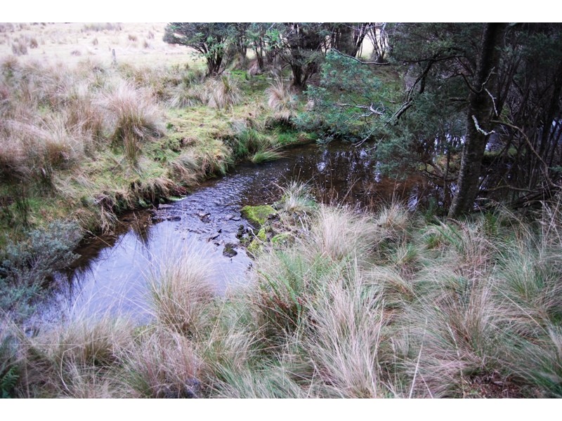 Williams Road, Jackeys Marsh TAS 7304