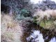 Williams Road, Jackeys Marsh TAS 7304