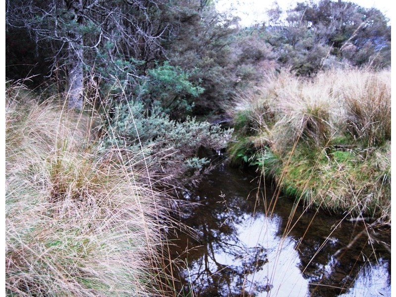 Williams Road, Jackeys Marsh TAS 7304