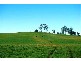 5271 Bass Highway, Deloraine TAS 7304