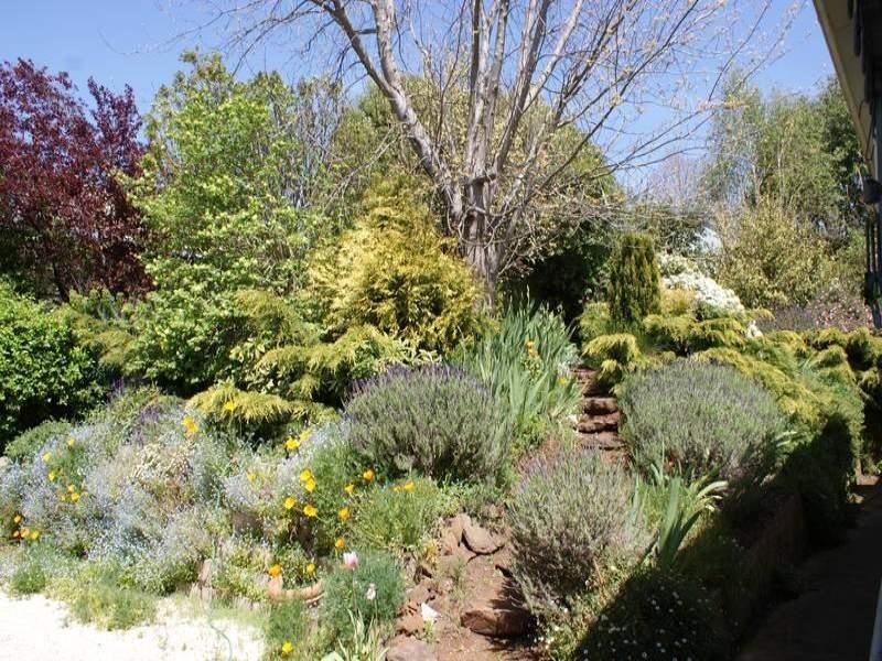 22 West Barrack Street, Deloraine TAS 7304