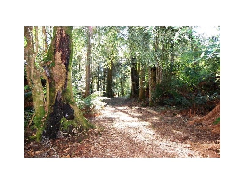 Bogan Gap Road, Golden Valley TAS 7304