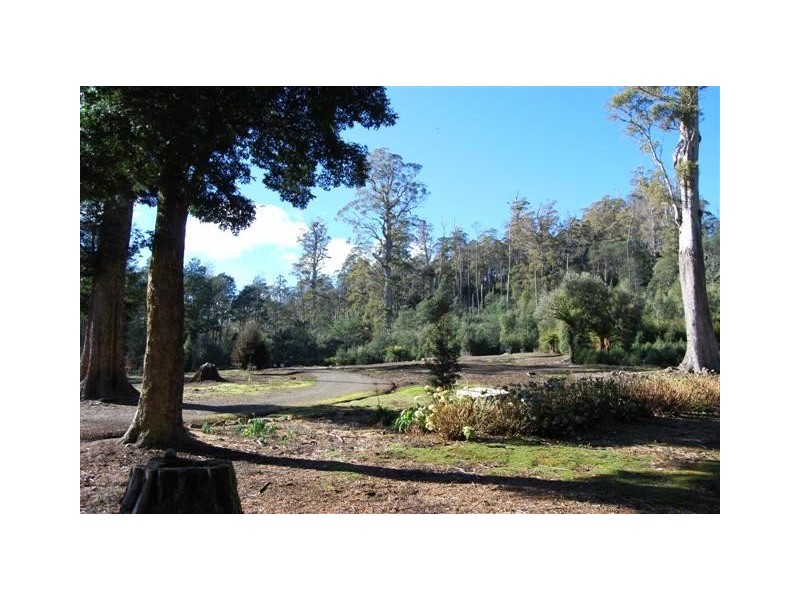 Bogan Gap Road, Golden Valley TAS 7304