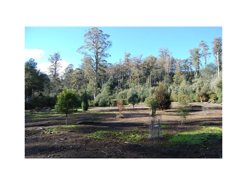 Bogan Gap Road, Golden Valley TAS 7304