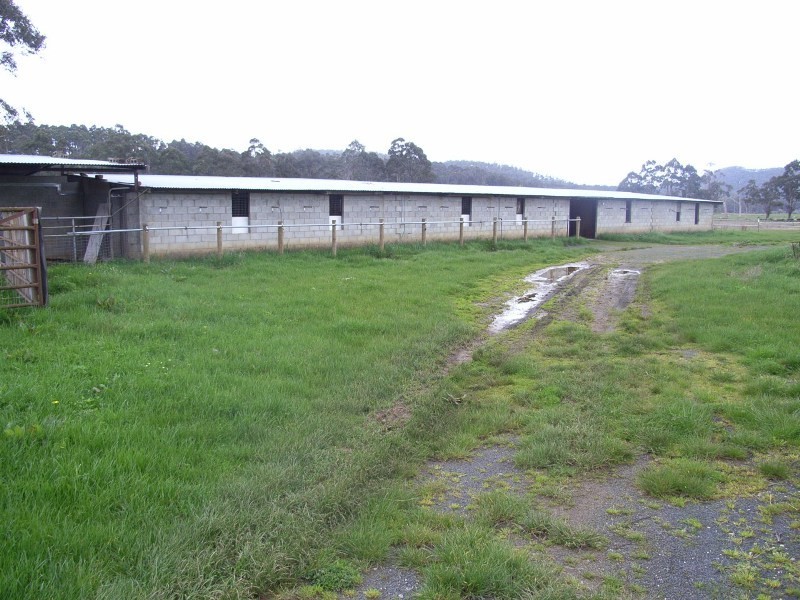 1420 Mole Creek Road, Chudleigh TAS 7304