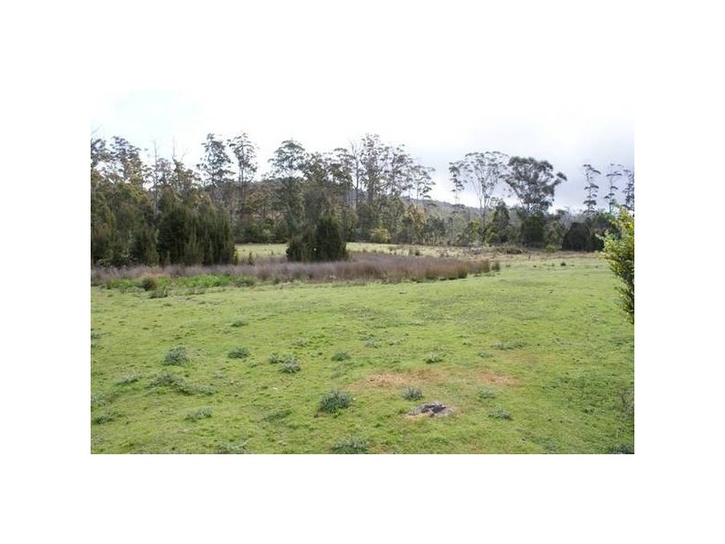 625 Weetah Road, Weetah TAS 7304