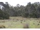 625 Weetah Road, Weetah TAS 7304