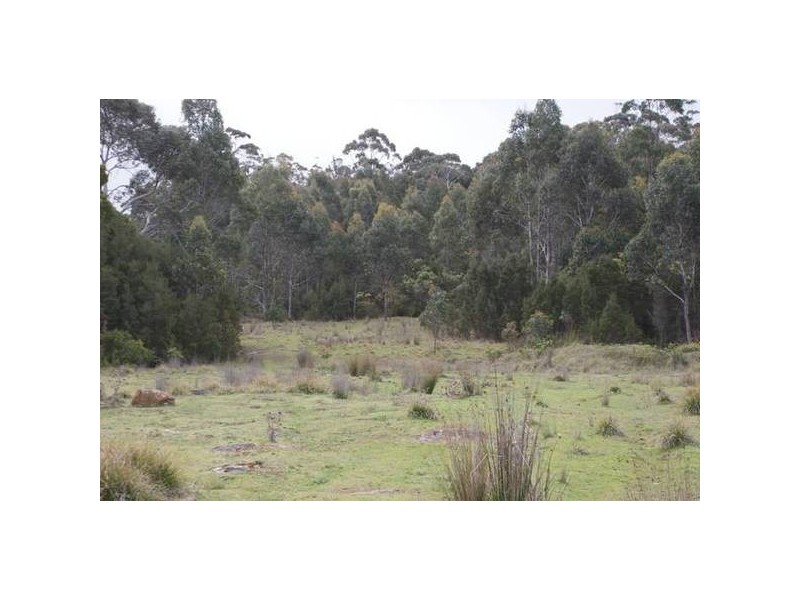 625r Weetah Road, Weetah TAS 7304