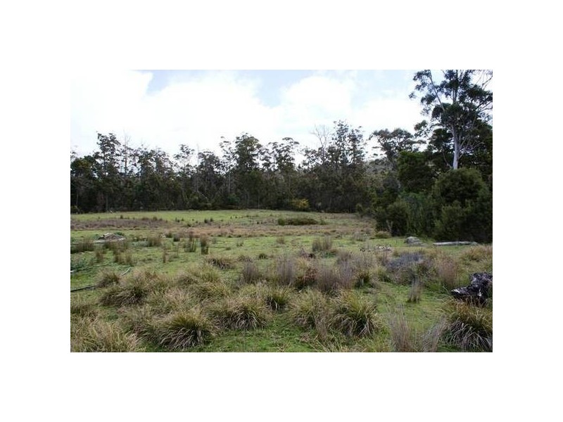 625r Weetah Road, Weetah TAS 7304