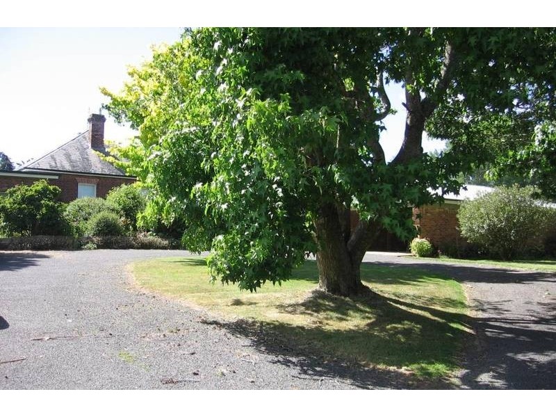 120 Bankton Road, Dairy Plains TAS 7304