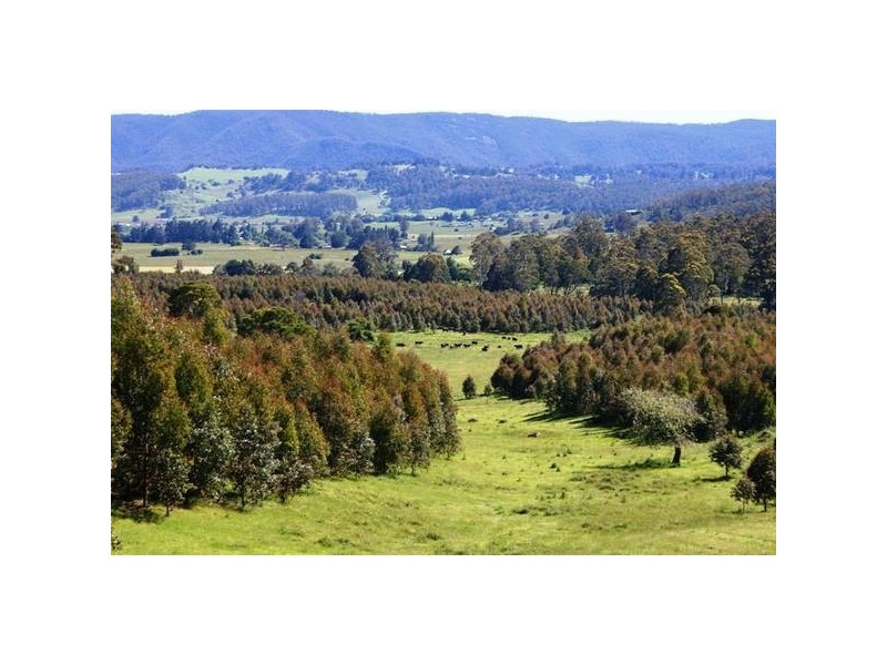 Azels Road, Mole Creek TAS 7304