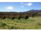 Azels Road, Mole Creek TAS 7304