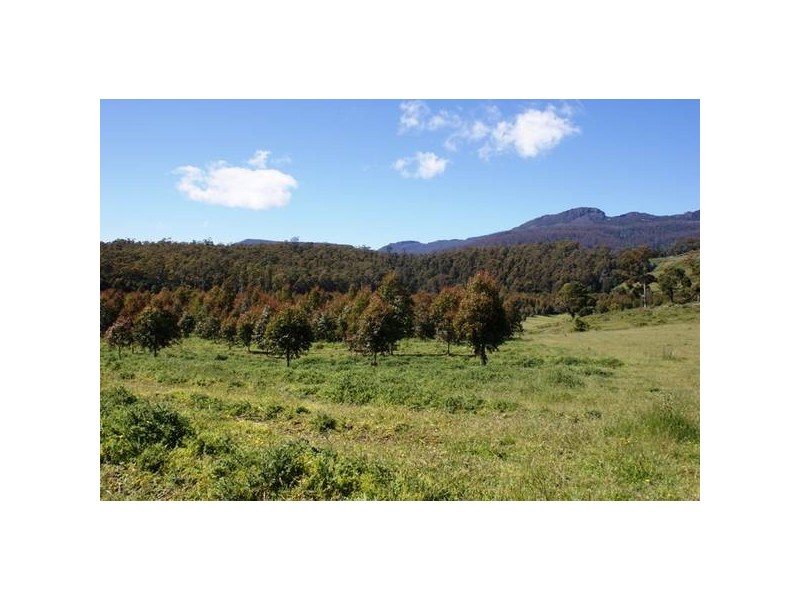Azels Road, Mole Creek TAS 7304
