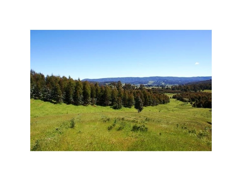 Azels Road, Mole Creek TAS 7304