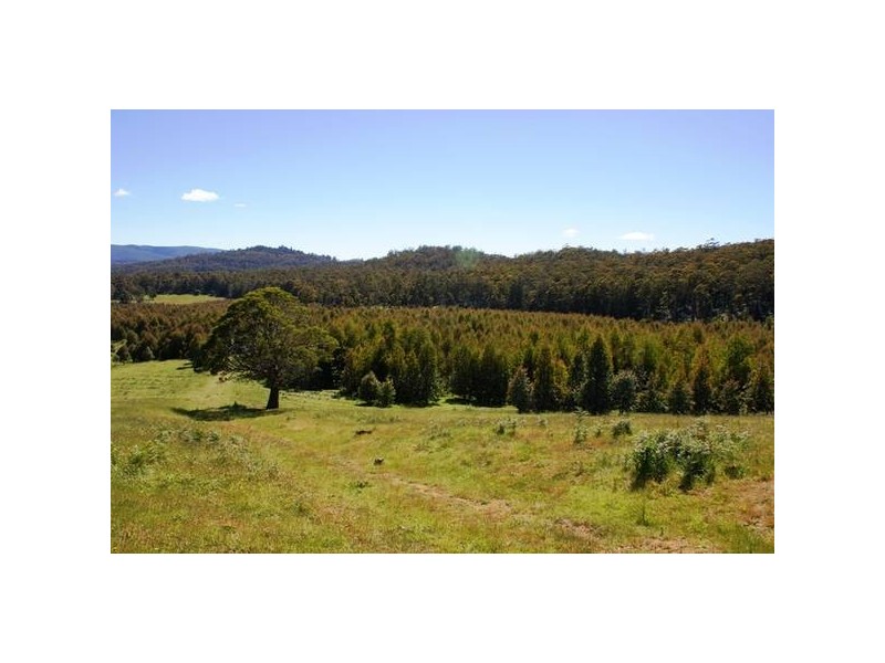Azels Road, Mole Creek TAS 7304