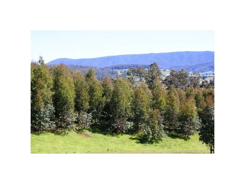 Azels Road, Mole Creek TAS 7304