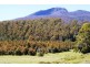 Azels Road, Mole Creek TAS 7304