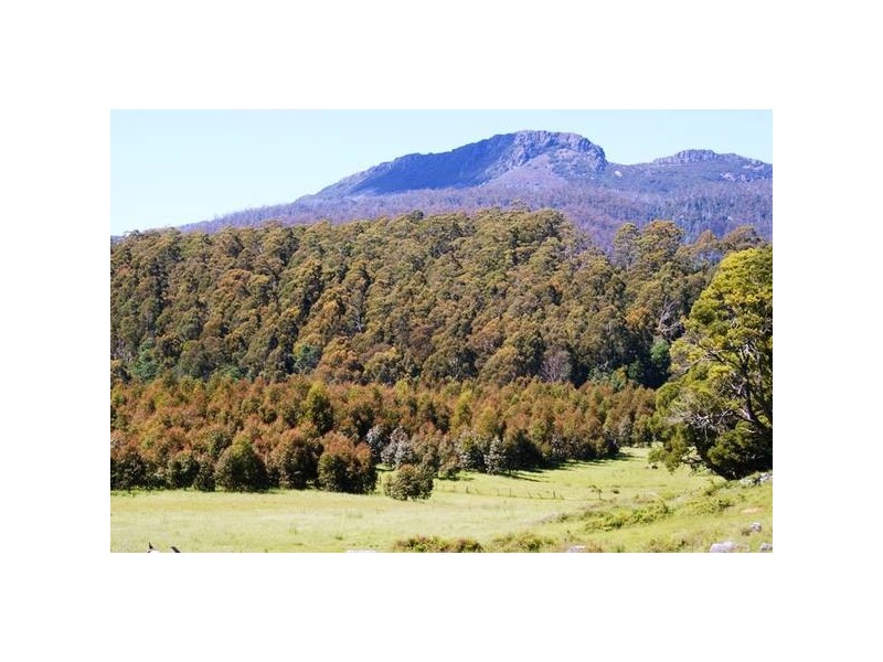 Azels Road, Mole Creek TAS 7304