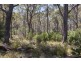 Distillery Creek Road, Nunamara TAS 7259