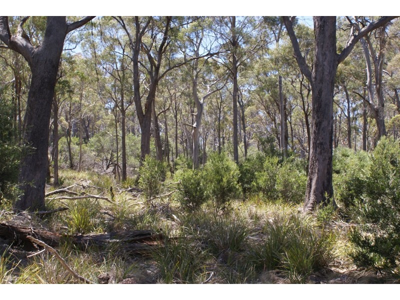 Distillery Creek Road, Nunamara TAS 7259