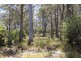 Distillery Creek Road, Nunamara TAS 7259