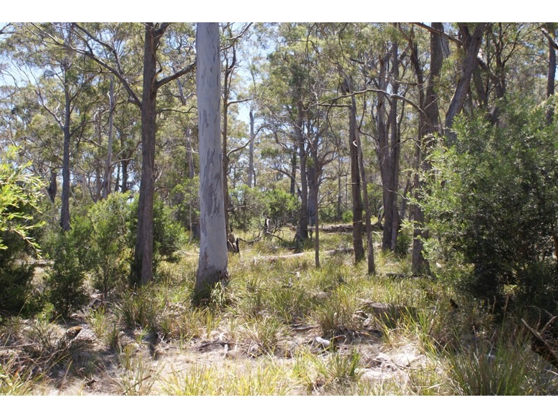 Distillery Creek Road, Nunamara TAS 7259