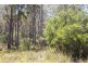 Distillery Creek Road, Nunamara TAS 7259