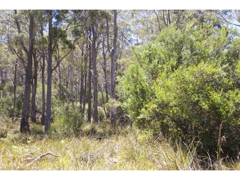 Distillery Creek Road, Nunamara TAS 7259