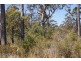 Distillery Creek Road, Nunamara TAS 7259