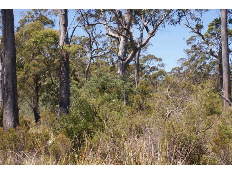 Distillery Creek Road, Nunamara TAS 7259