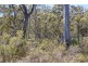 Distillery Creek Road, Nunamara TAS 7259