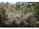Distillery Creek Road, Nunamara TAS 7259