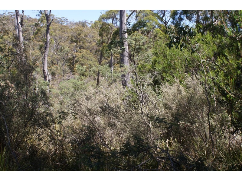 Distillery Creek Road, Nunamara TAS 7259