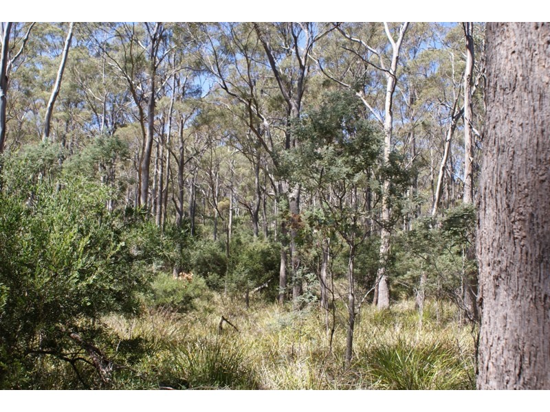 Distillery Creek Road, Nunamara TAS 7259