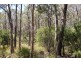 Distillery Creek Road, Nunamara TAS 7259