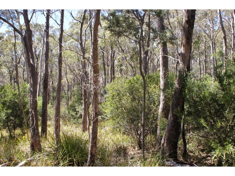Distillery Creek Road, Nunamara TAS 7259