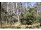 Distillery Creek Road, Nunamara TAS 7259