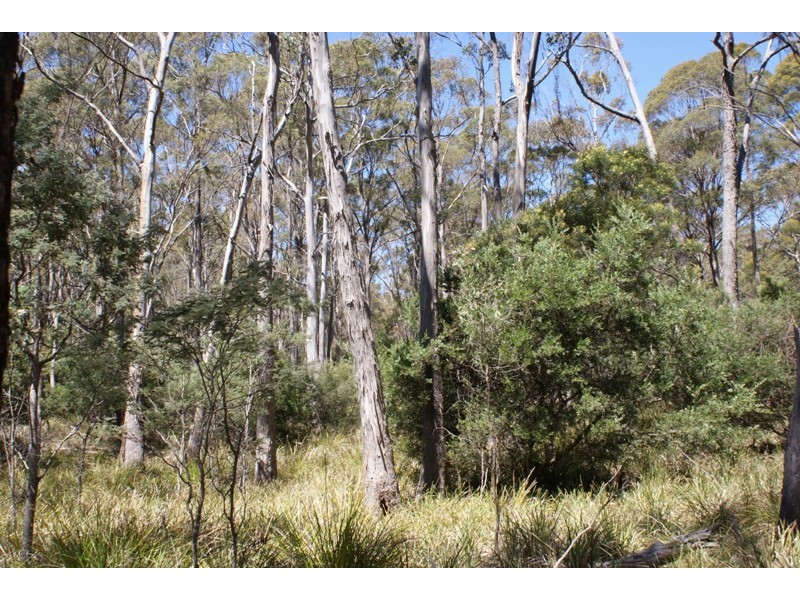 Distillery Creek Road, Nunamara TAS 7259