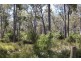 Distillery Creek Road, Nunamara TAS 7259