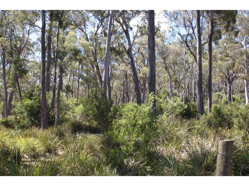 Distillery Creek Road, Nunamara TAS 7259