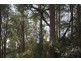 Gipps Creek Road, Deddington TAS 7212