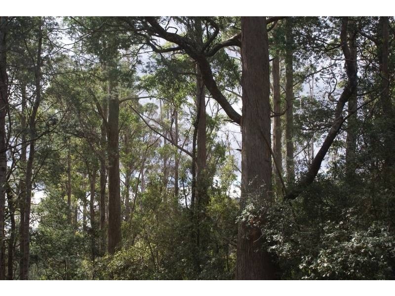 Gipps Creek Road, Deddington TAS 7212