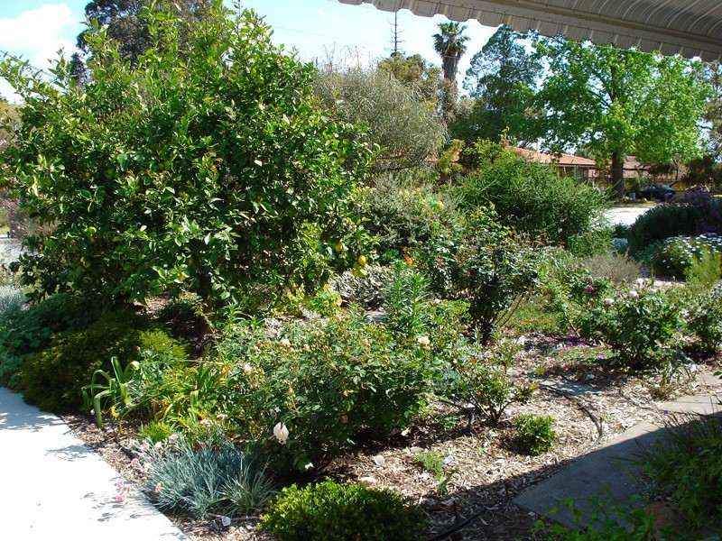 14b Nicholas St, Gosnells WA 6110