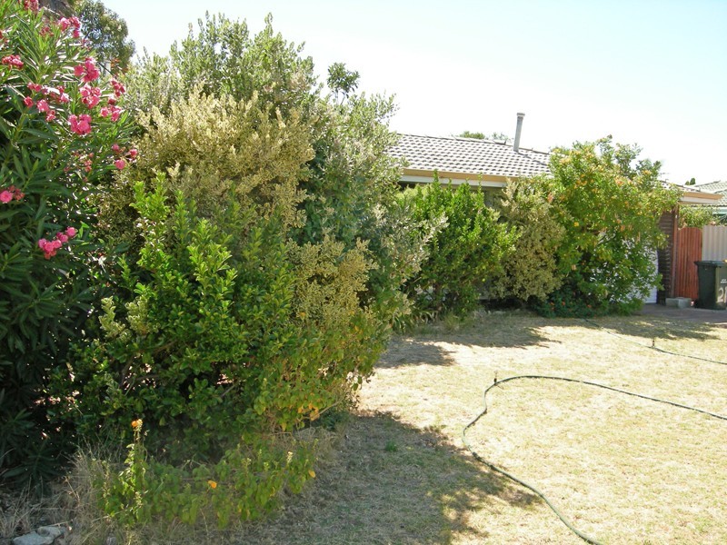 21 Tambulam Way, Armadale WA 6112