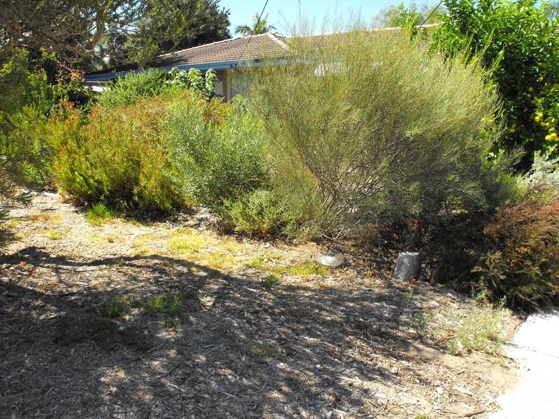 14b Nicholas Street, Gosnells WA 6110