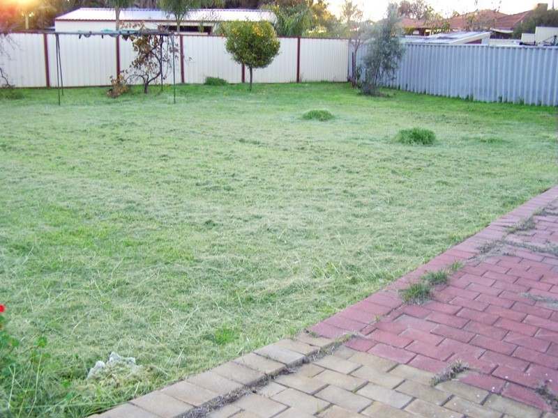 17 Quokka Elbow, Brookdale WA 6112