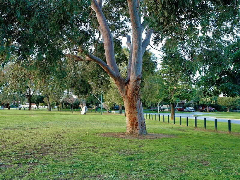 13 James Street, Armadale WA 6112